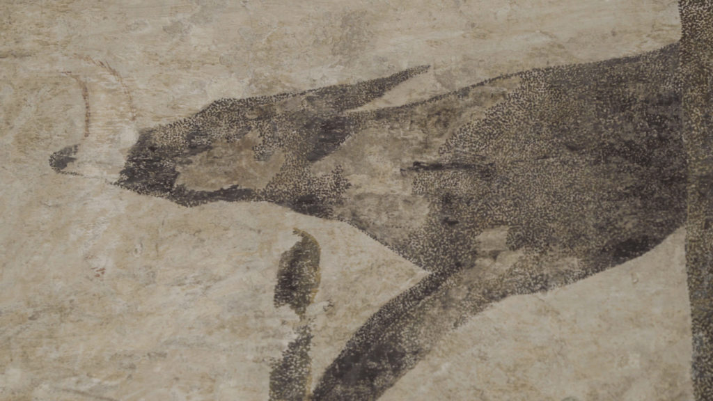 Rocca-dei-Contrari-sala-dei-cani