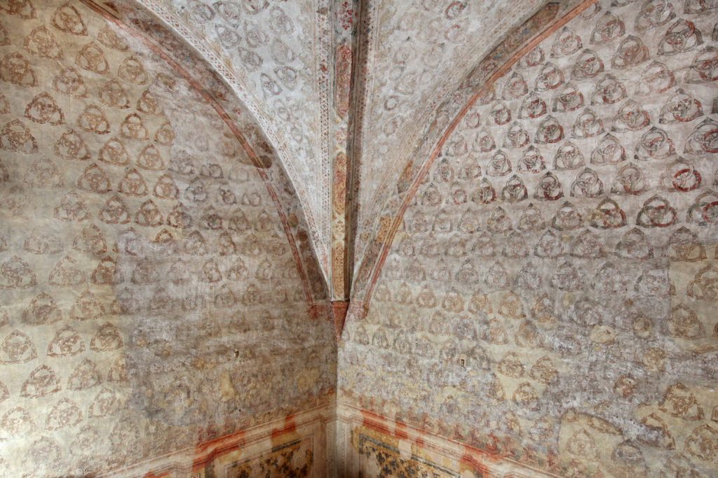 Rocca-dei-Contrari-sala-degli-anelli