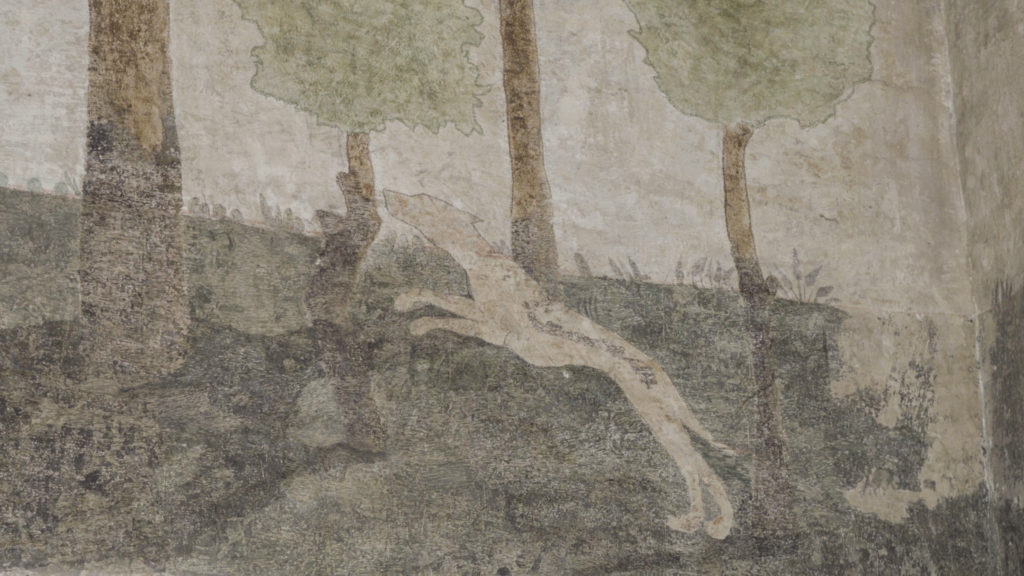 Rocca-dei-Contrari-sala-dei-cani