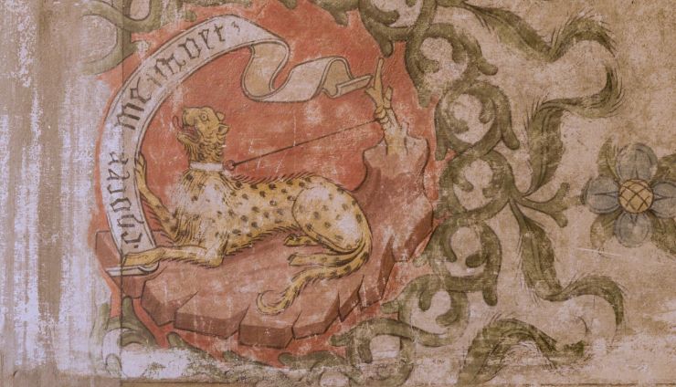 leoni-leopardi-740x424